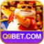 Logo Q9 Bet